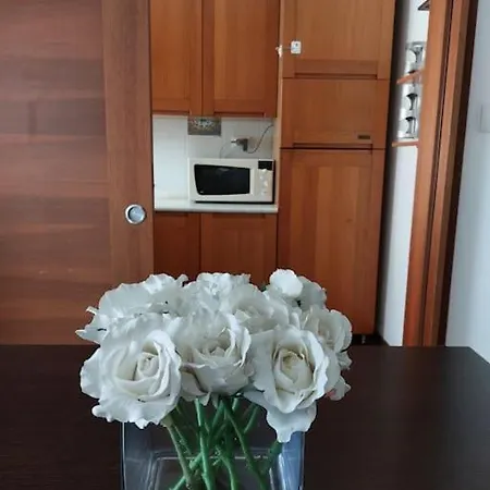 V&g Βιτσέντζα